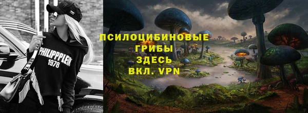 дурь Новокубанск